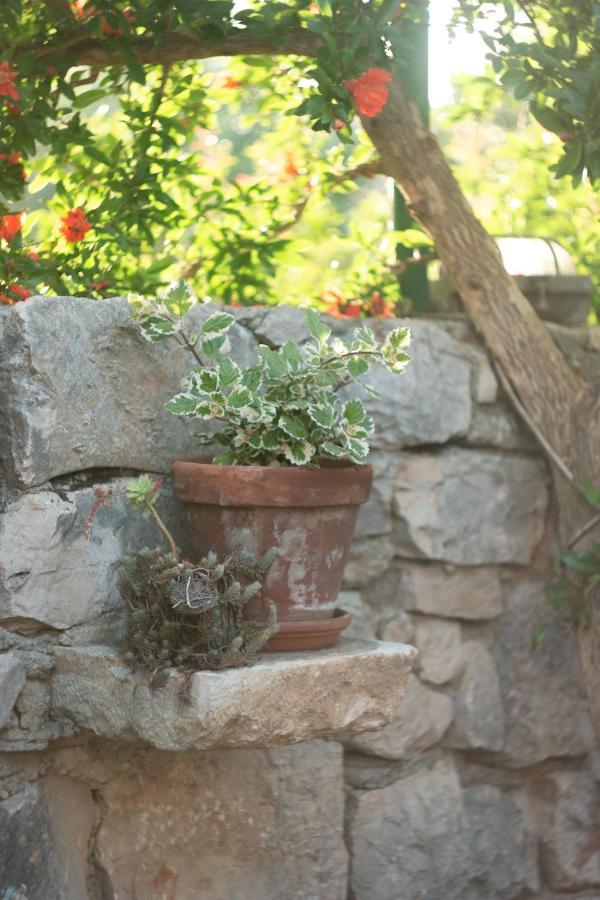 Apartment Stari Murter